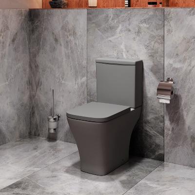 Унитаз-компакт напольный AM.PM Struktura C9S8600GRSC безободковый с сиденьем микролифт, серый матовый