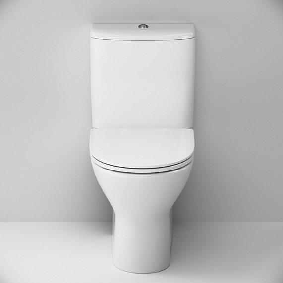 Унитаз напольный Damixa Palace Grand 468600SC безободковый с сиденьем микролифт, белый-2